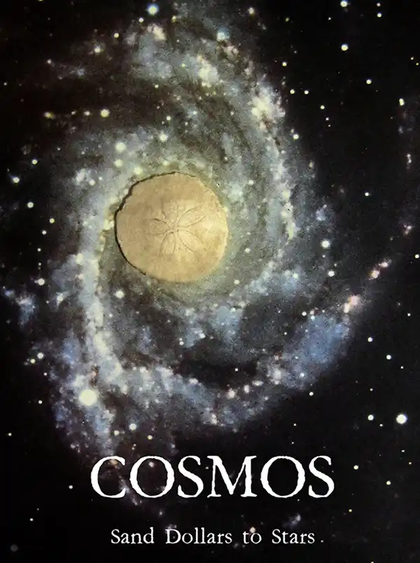 A poster of a sand dollar floating among the stars